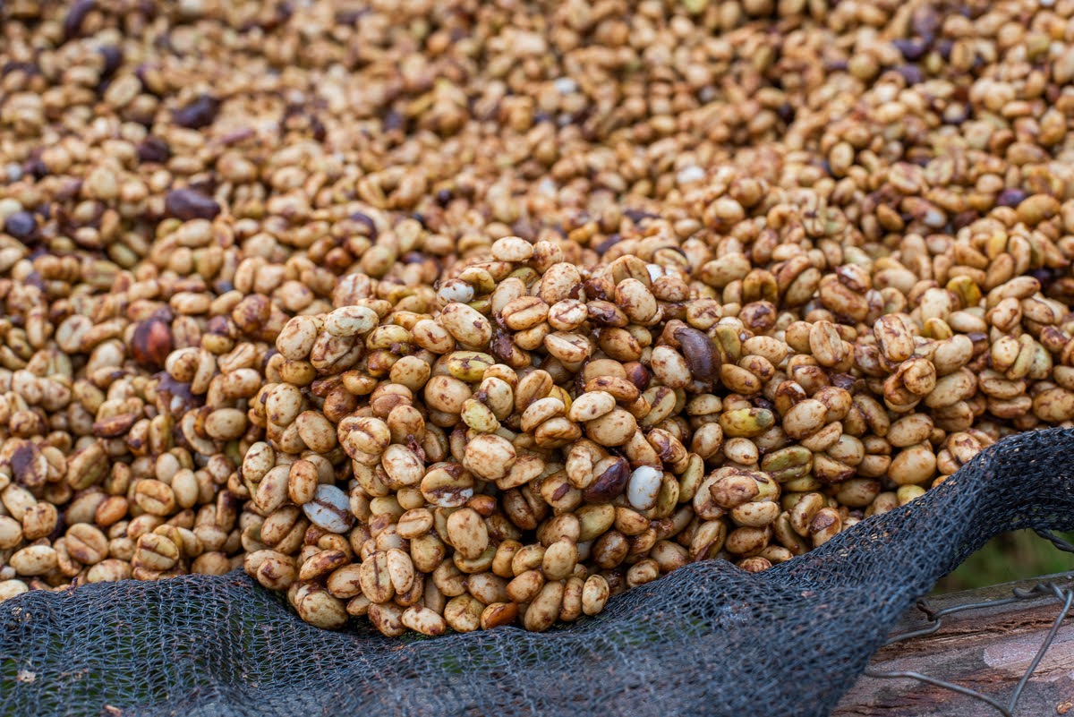 Burundi - Runinya, Kayanza Province