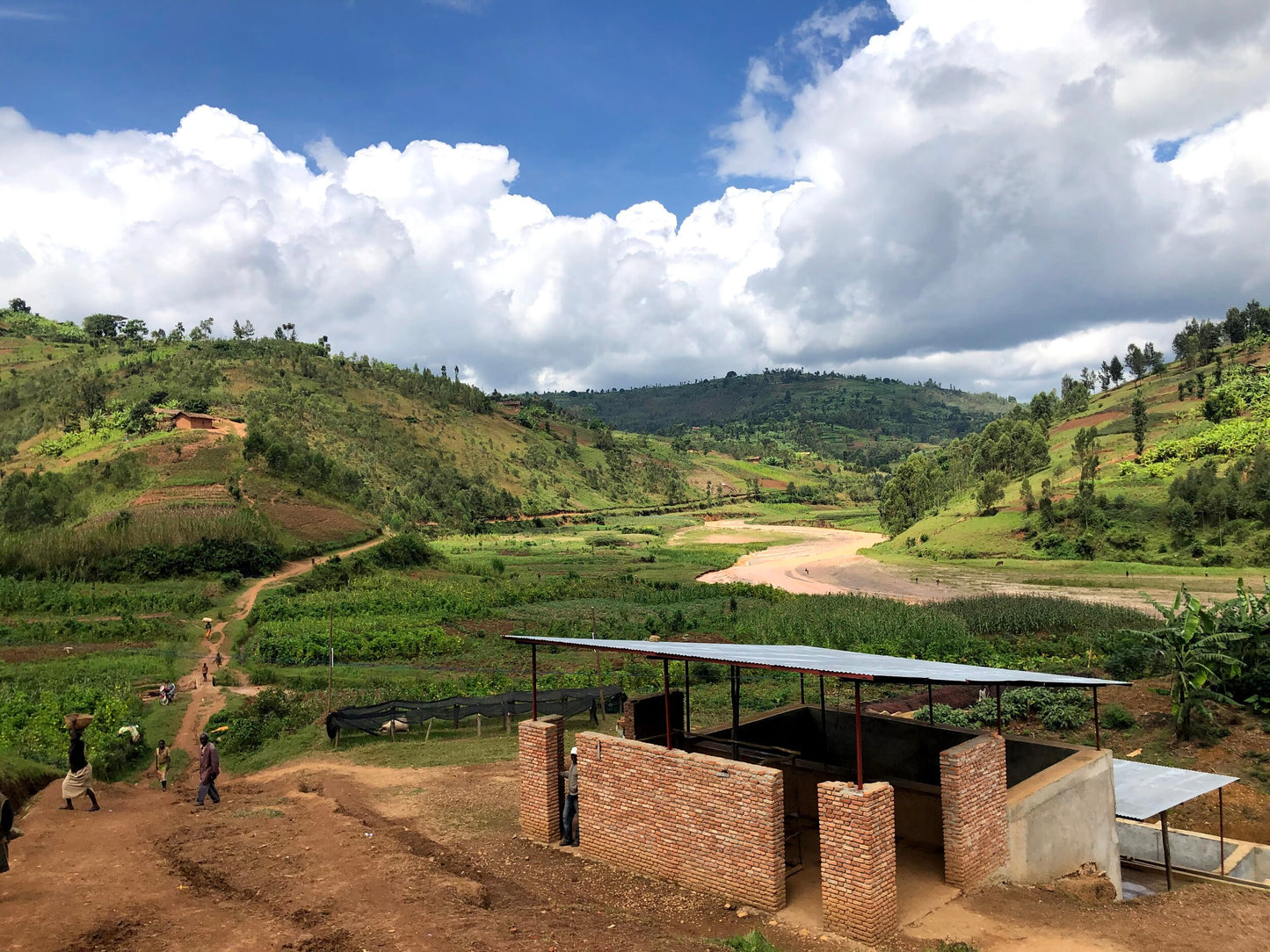 Burundi - Kigeri, Izuba Washing Station