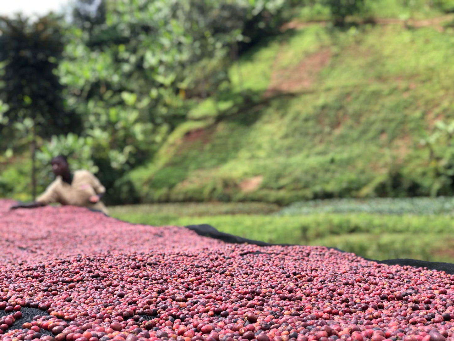 Burundi - Runinya, Kayanza Province
