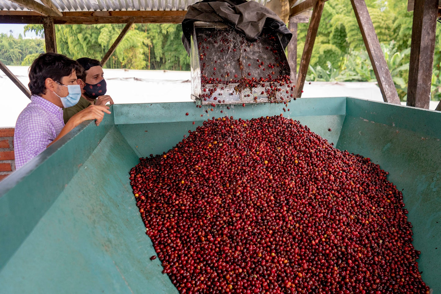 Colombia - DECAF Anoxic Villamaria (50g sample)