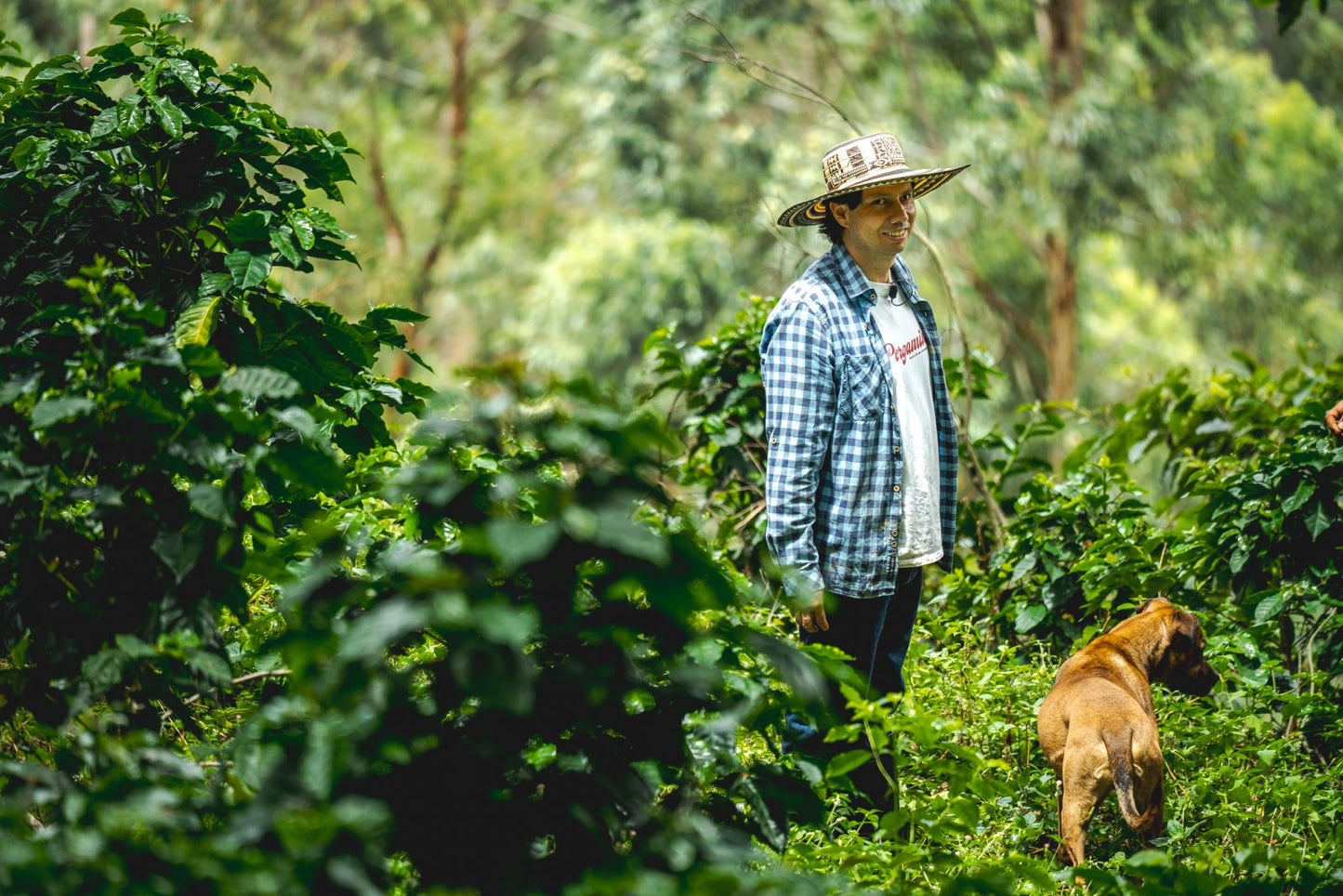Colombia - El Jardín
