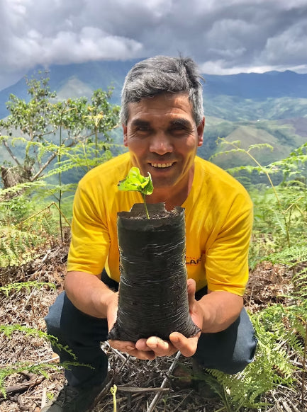 Peru - Cajarmaca