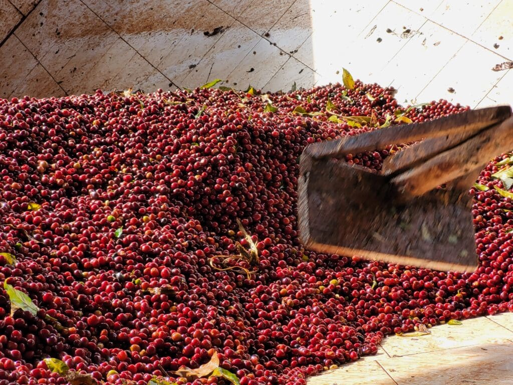 Ethiopia - Chelbesa