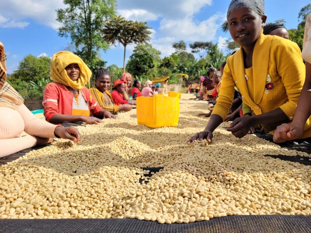 Ethiopia - Chelbesa