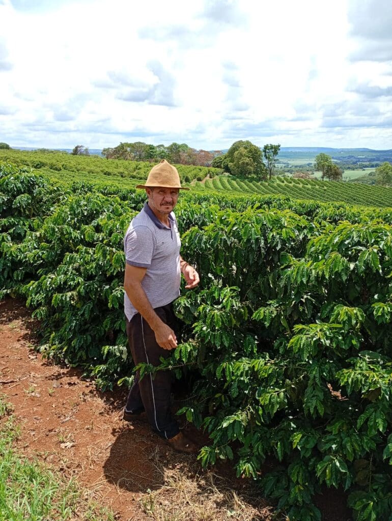 Brazil - Cerrado