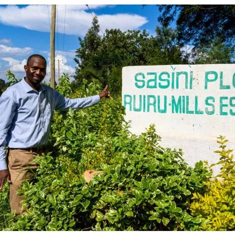 Kenya - AA Ruiru Mills Estate