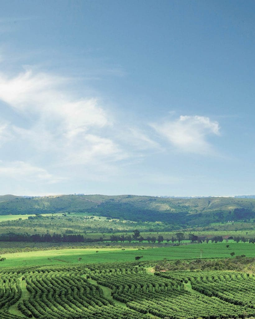 Brazil - Cerrado